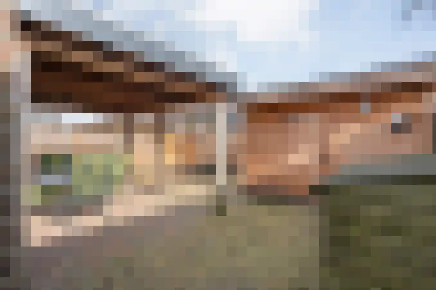 Ganzebloem 26 Hardenberg thumbnail 38