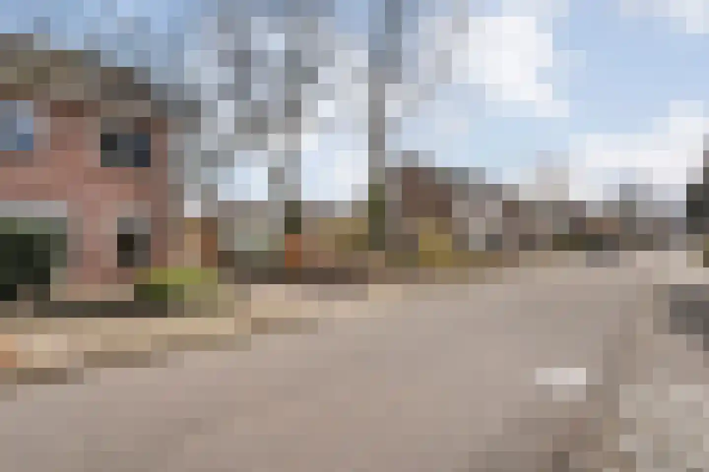 Ganzebloem 26 Hardenberg thumbnail 4