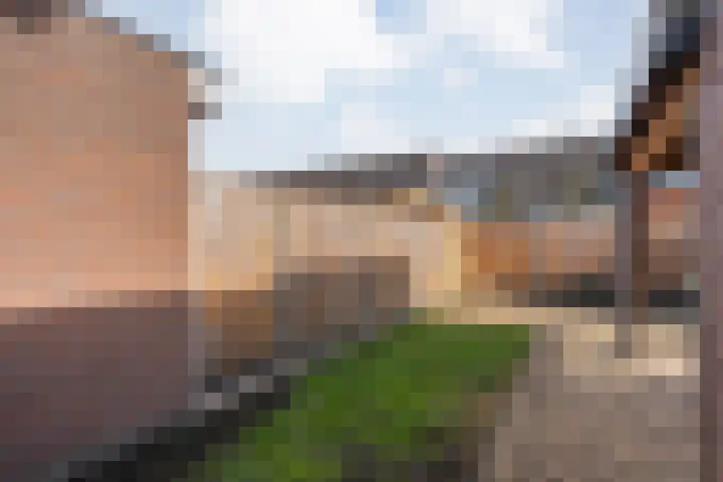 Ganzebloem 26 Hardenberg thumbnail 43