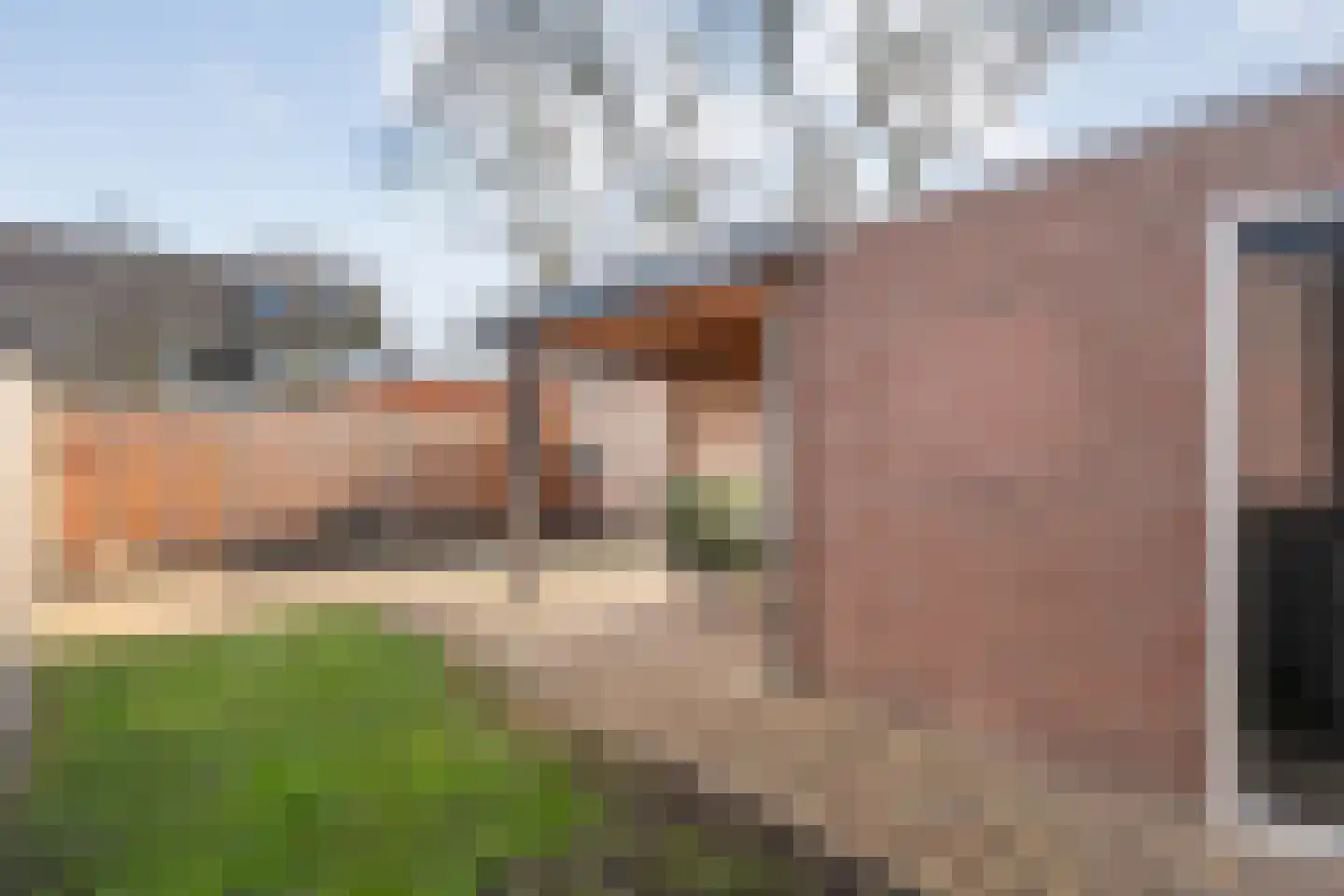 Ganzebloem 26 Hardenberg thumbnail 44