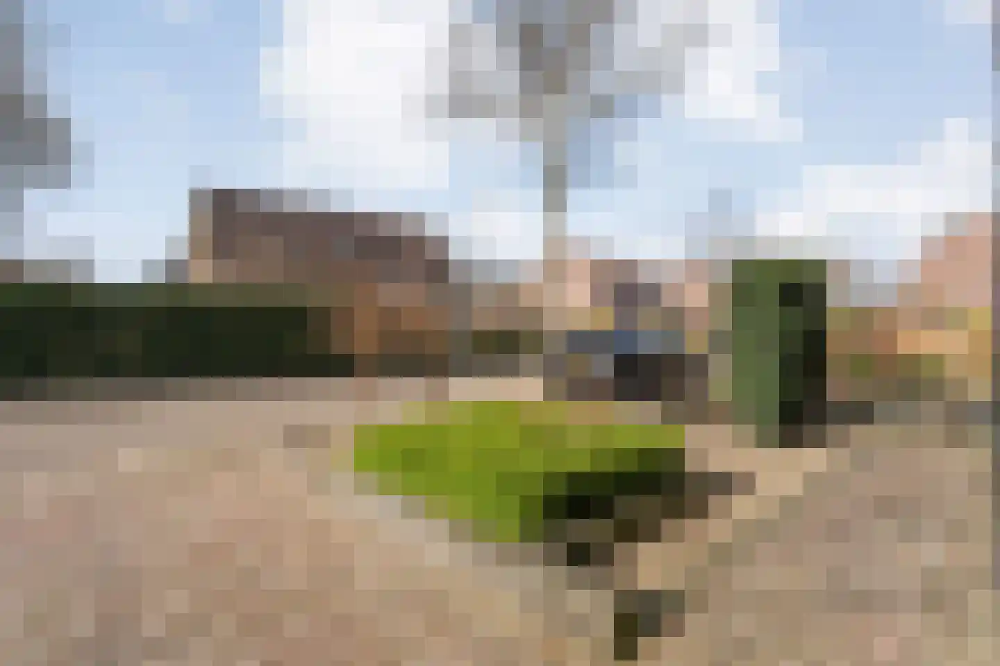 Ganzebloem 26 Hardenberg thumbnail 5