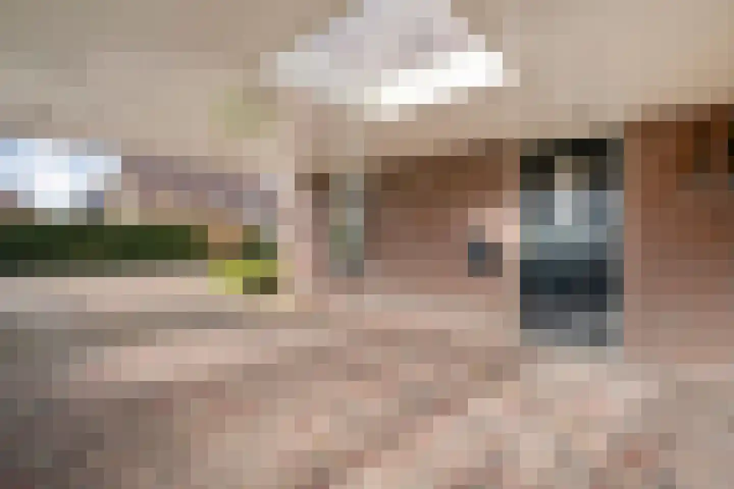 Ganzebloem 26 Hardenberg thumbnail 6