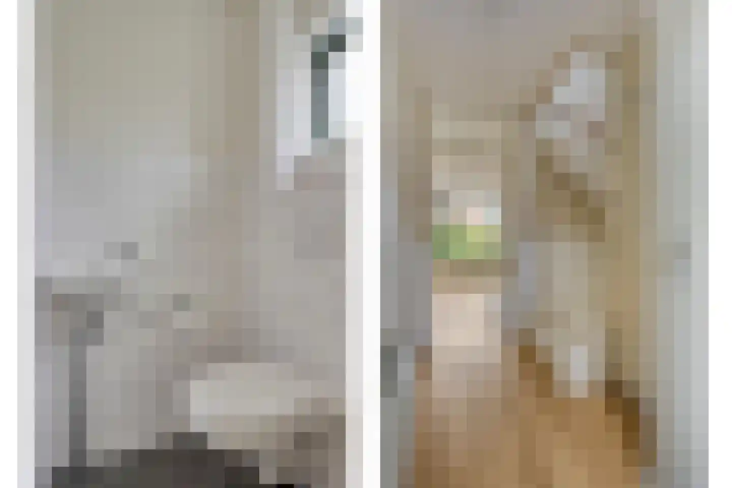 Ganzebloem 27 Odijk thumbnail 14
