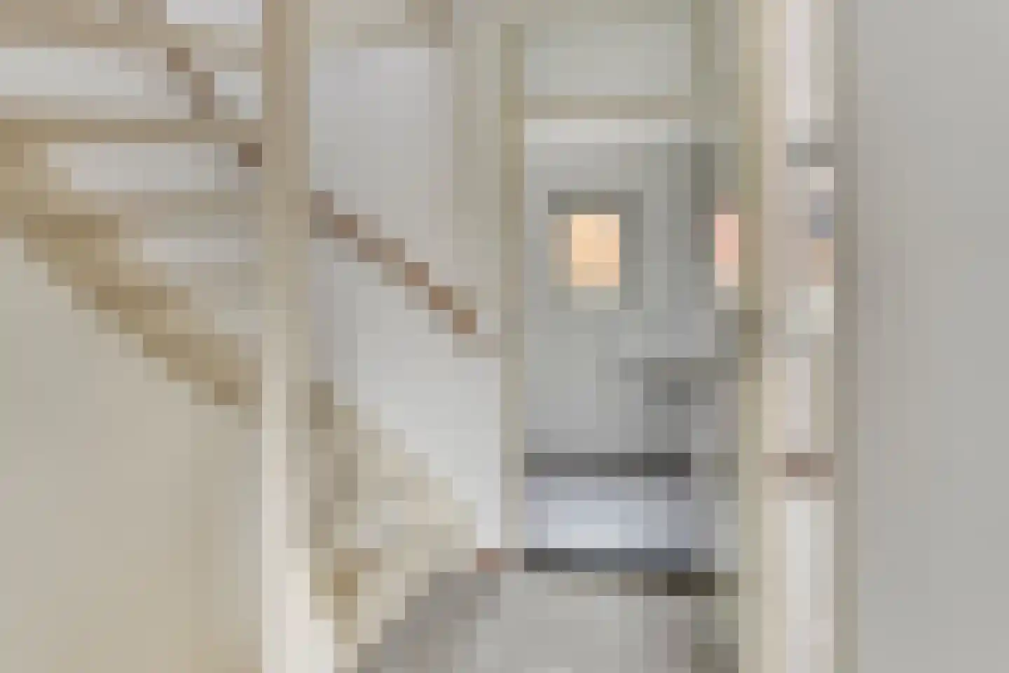 Ganzebloem 27 Odijk thumbnail 22
