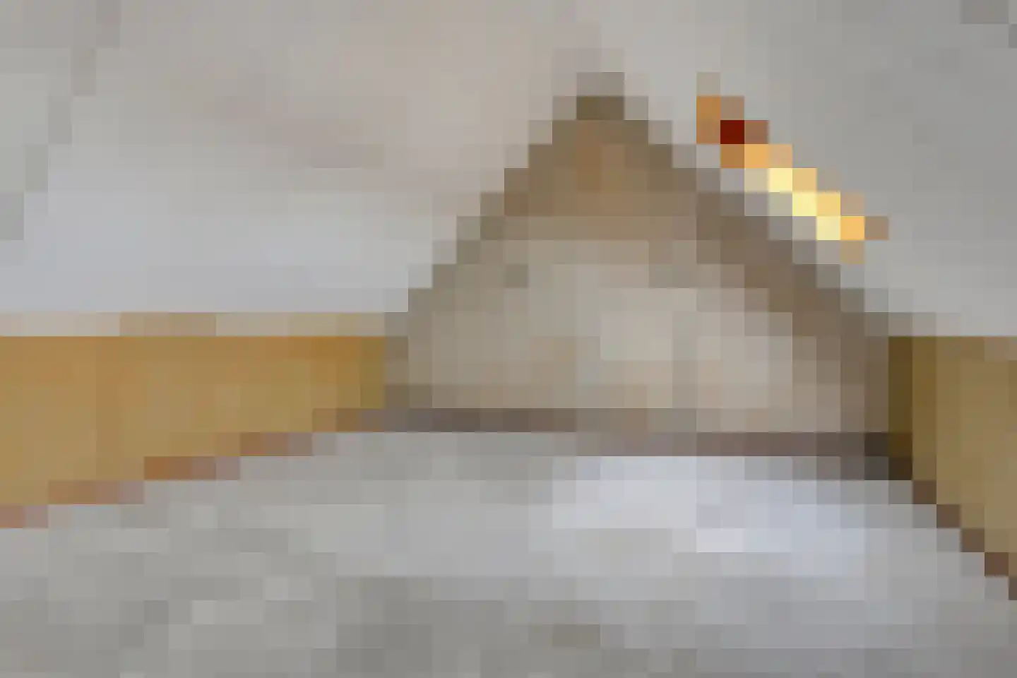 Ganzebloem 27 Odijk thumbnail 24