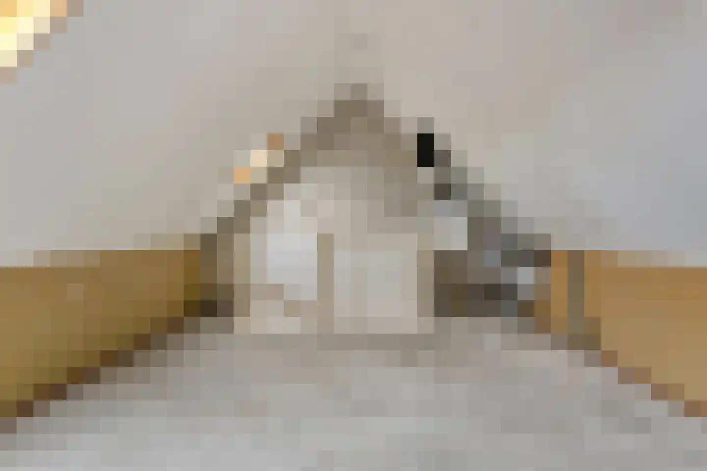 Ganzebloem 27 Odijk thumbnail 25