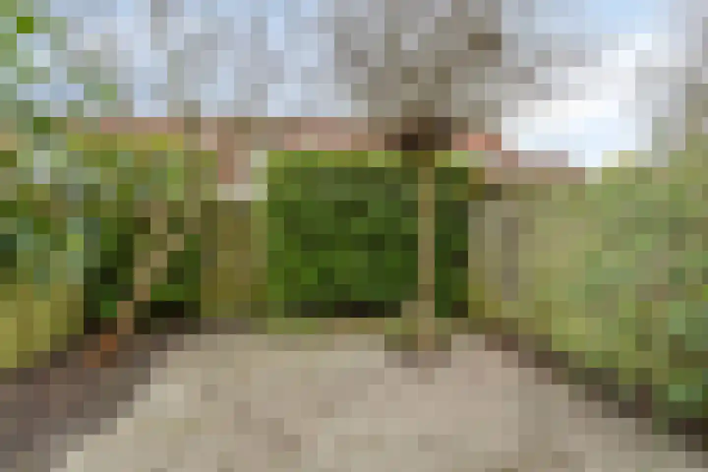 Ganzebloem 27 Odijk thumbnail 29