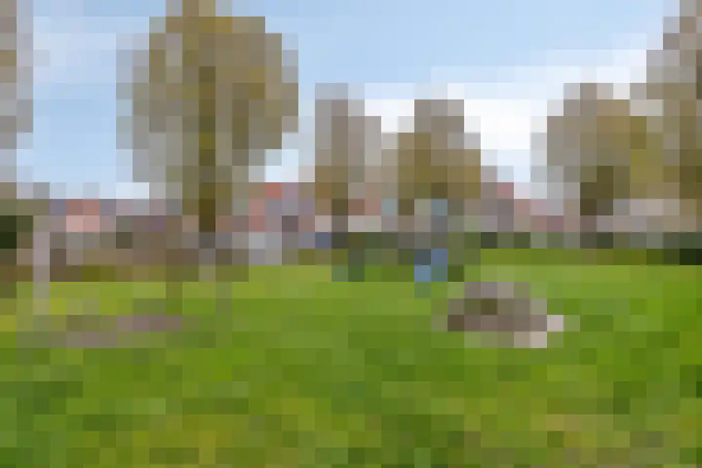Ganzebloem 27 Odijk thumbnail 33