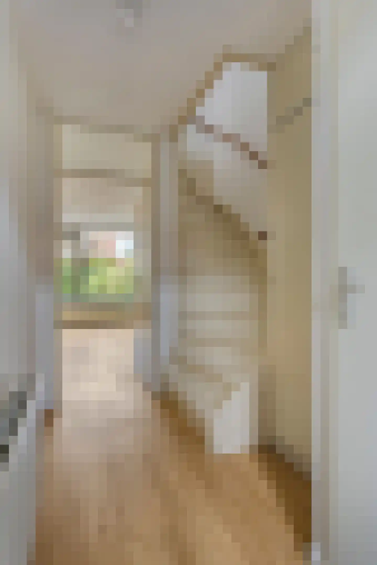 Ganzebloem 27 Odijk thumbnail 7