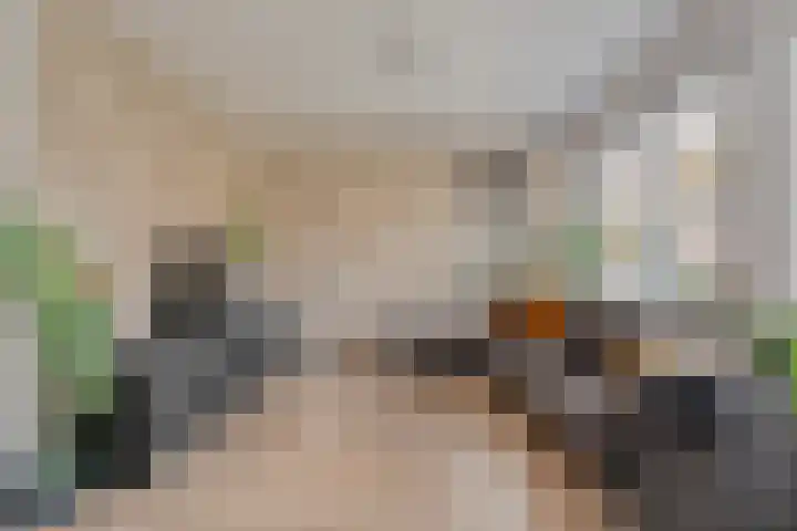 Ganzebloem 38 Hardenberg thumbnail 10