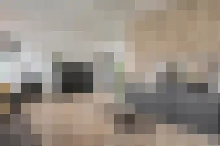 Ganzebloem 38 Hardenberg thumbnail 11