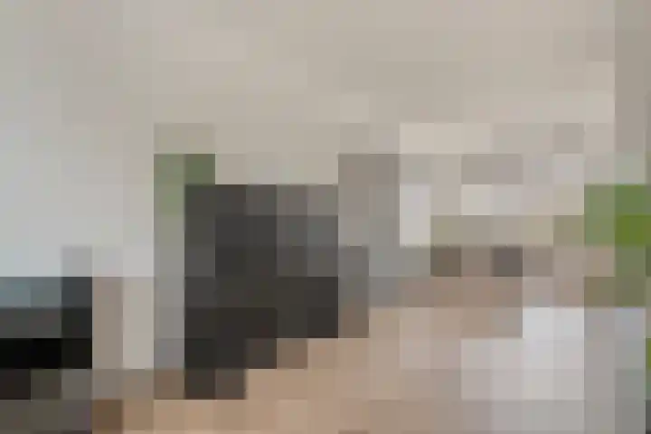 Ganzebloem 38 Hardenberg thumbnail 12