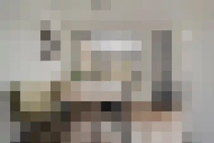 Ganzebloem 38 Hardenberg thumbnail 13