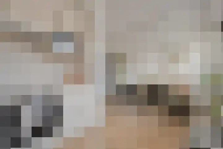 Ganzebloem 38 Hardenberg thumbnail 14