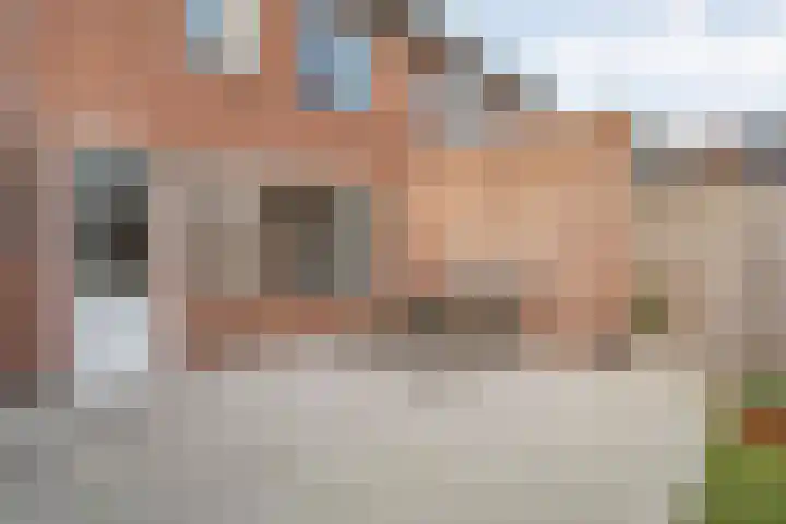 Ganzebloem 38 Hardenberg thumbnail 17
