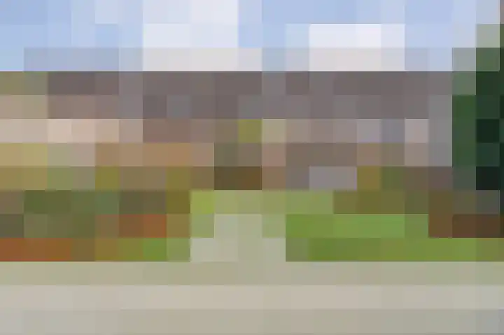 Ganzebloem 38 Hardenberg thumbnail 18