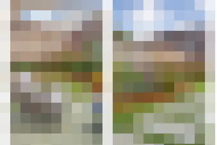 Ganzebloem 38 Hardenberg thumbnail 19