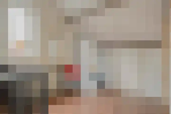 Ganzebloem 38 Hardenberg thumbnail 31