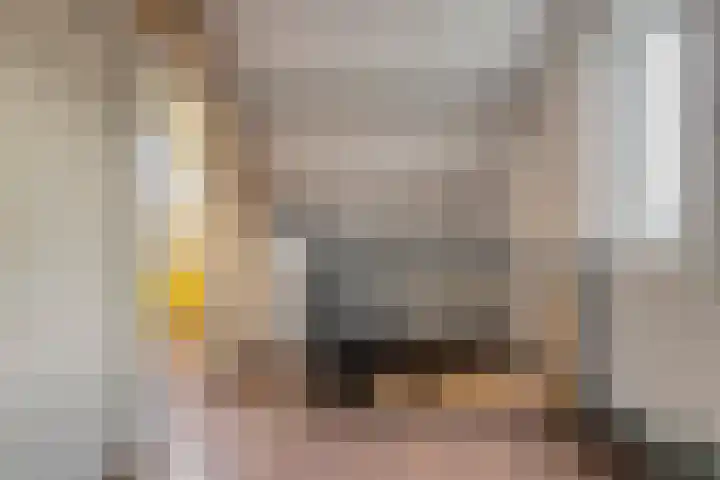 Ganzebloem 38 Hardenberg thumbnail 32