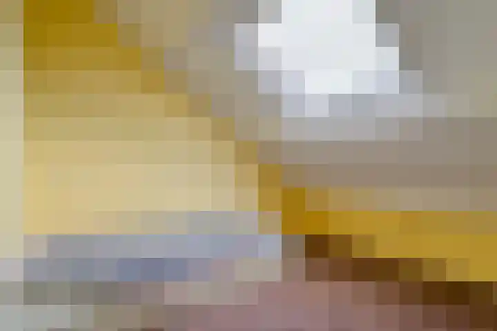 Ganzebloem 38 Hardenberg thumbnail 33