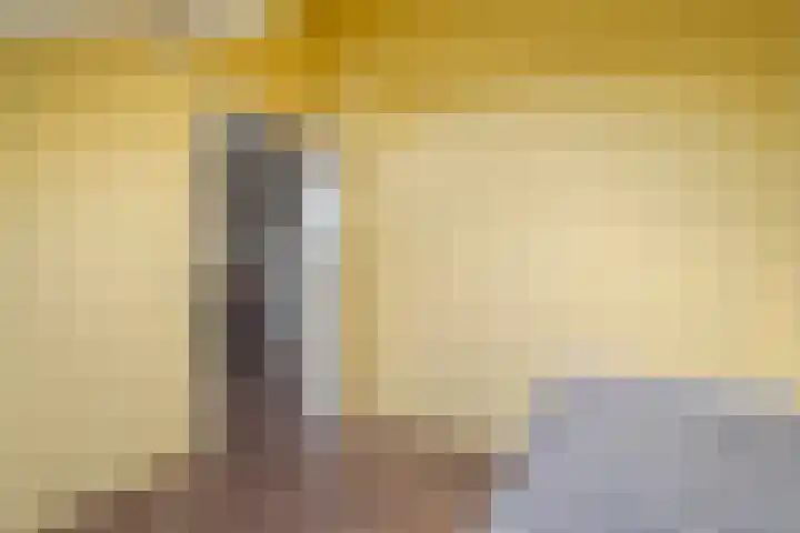 Ganzebloem 38 Hardenberg thumbnail 34