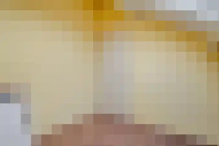 Ganzebloem 38 Hardenberg thumbnail 36