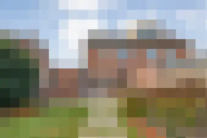 Ganzebloem 38 Hardenberg thumbnail 37