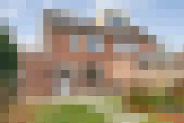 Ganzebloem 38 Hardenberg thumbnail 38
