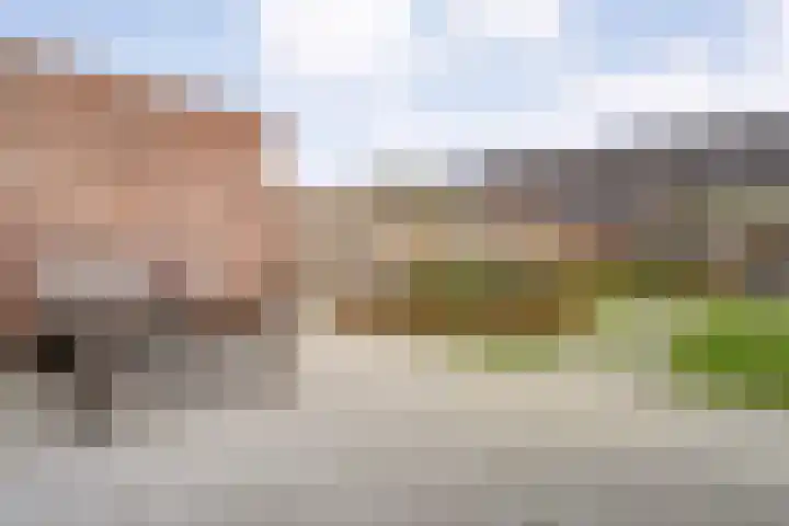 Ganzebloem 38 Hardenberg thumbnail 39