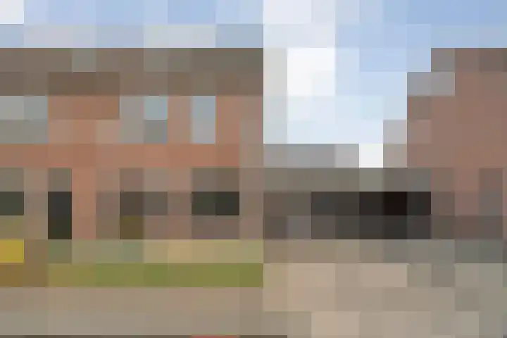 Ganzebloem 38 Hardenberg thumbnail 4