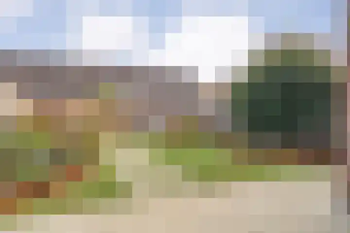Ganzebloem 38 Hardenberg thumbnail 40