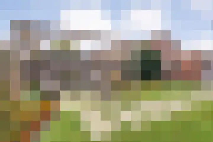 Ganzebloem 38 Hardenberg thumbnail 41