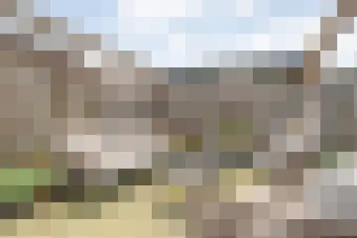 Ganzebloem 38 Hardenberg thumbnail 42