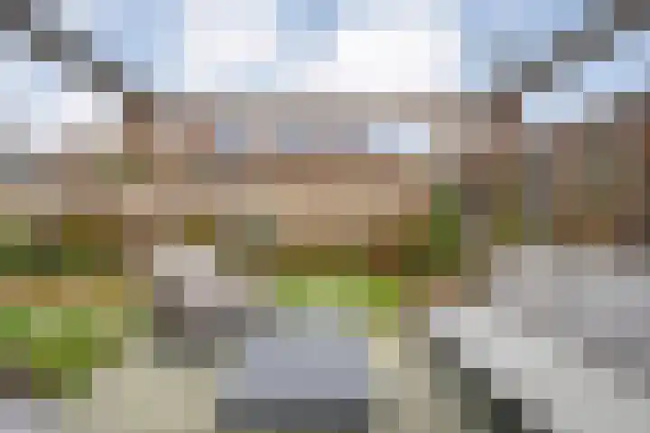 Ganzebloem 38 Hardenberg thumbnail 43