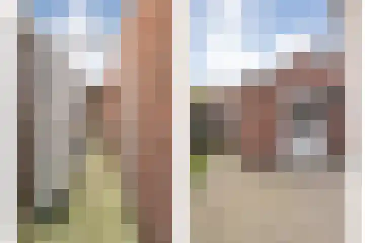 Ganzebloem 38 Hardenberg thumbnail 44