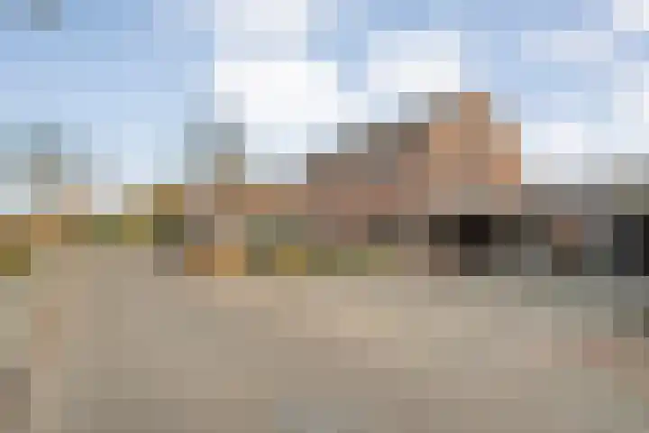 Ganzebloem 38 Hardenberg thumbnail 45
