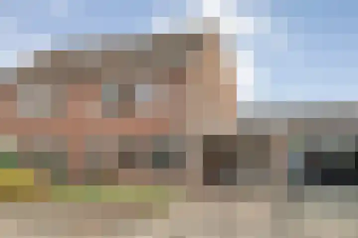 Ganzebloem 38 Hardenberg thumbnail 46