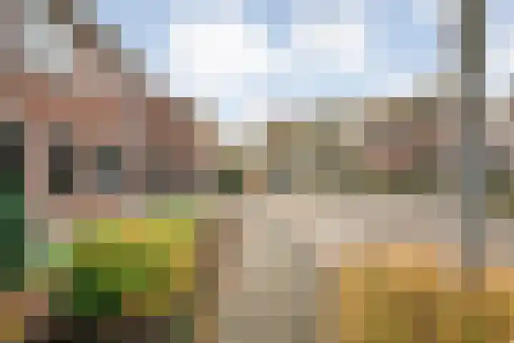 Ganzebloem 38 Hardenberg thumbnail 47