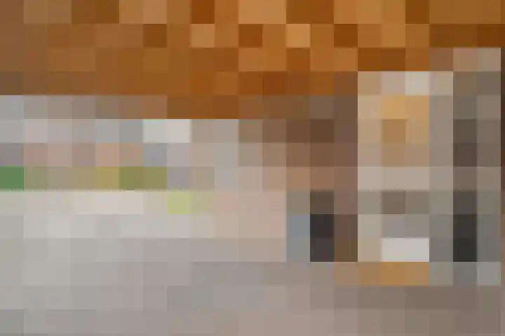 Ganzebloem 38 Hardenberg thumbnail 5