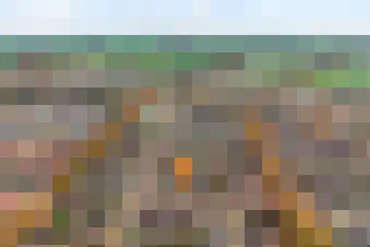 Ganzebloem 38 Hardenberg thumbnail 6
