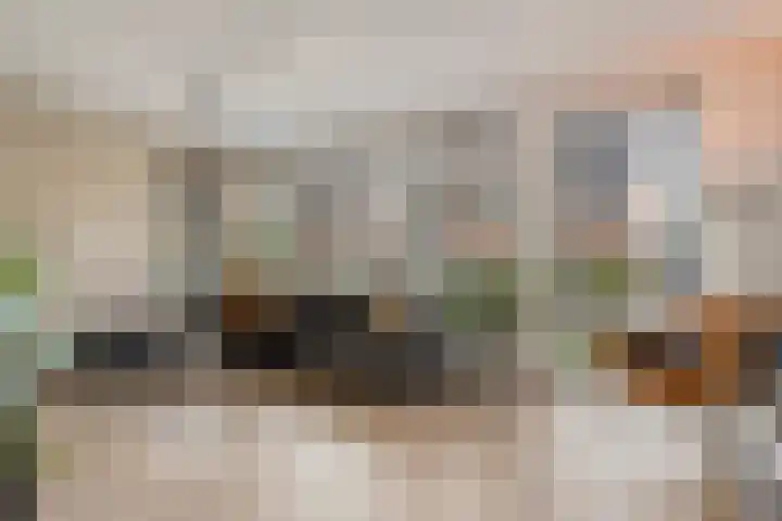 Ganzebloem 38 Hardenberg thumbnail 9