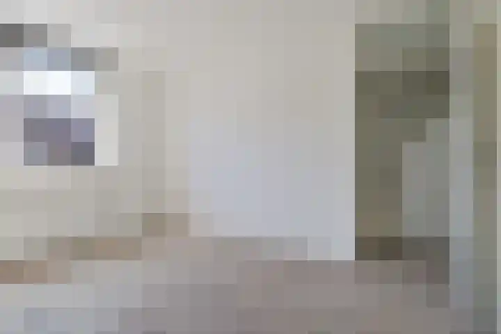 Ganzebloem 49 Kampen thumbnail 11