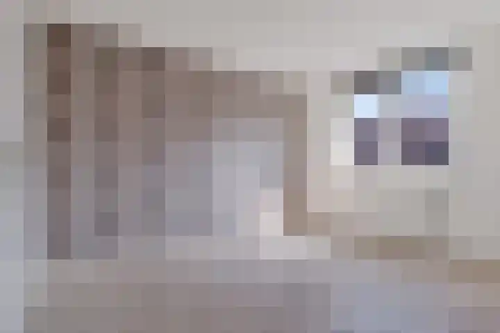 Ganzebloem 49 Kampen thumbnail 12