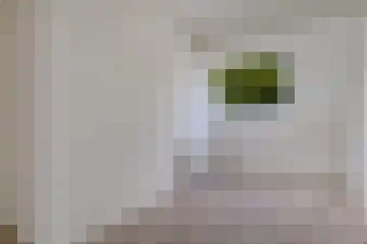 Ganzebloem 49 Kampen thumbnail 13