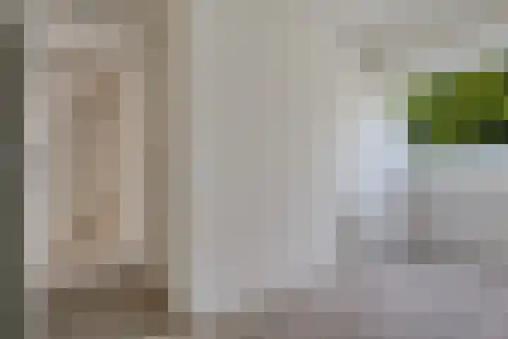 Ganzebloem 49 Kampen thumbnail 14