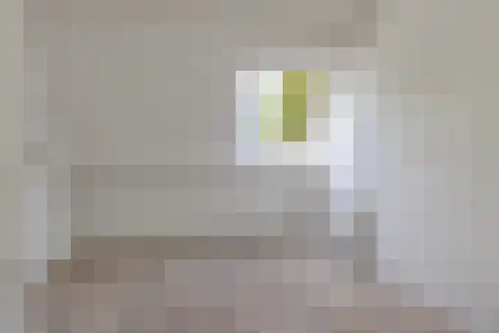 Ganzebloem 49 Kampen thumbnail 15