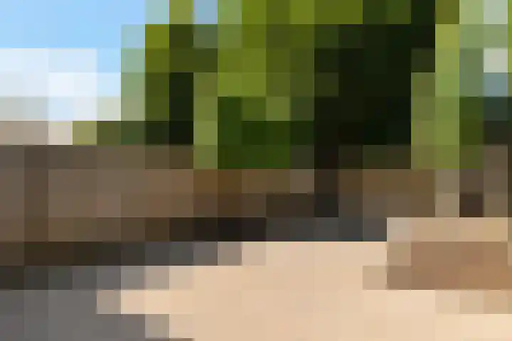 Ganzebloem 49 Kampen thumbnail 18