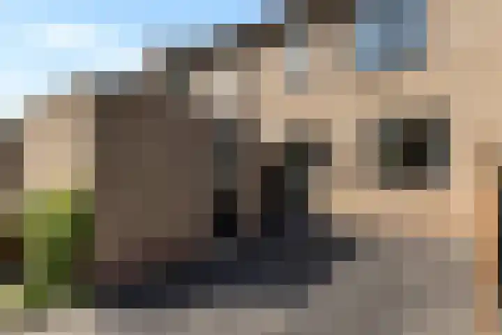 Ganzebloem 49 Kampen thumbnail 19