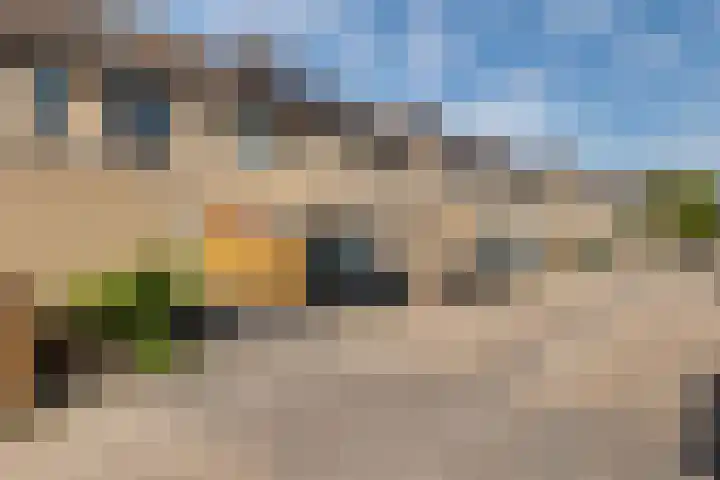 Ganzebloem 49 Kampen thumbnail 20