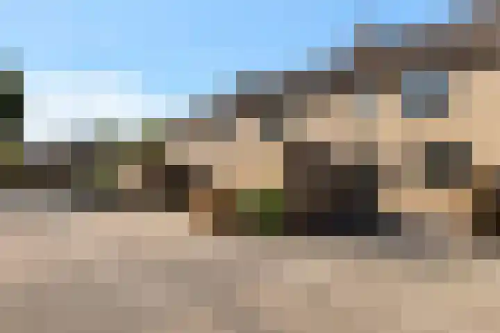 Ganzebloem 49 Kampen thumbnail 21